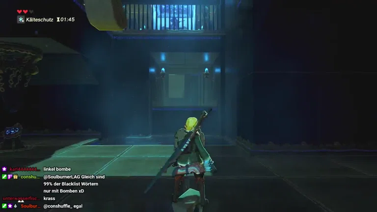 Schneile Schreinskip