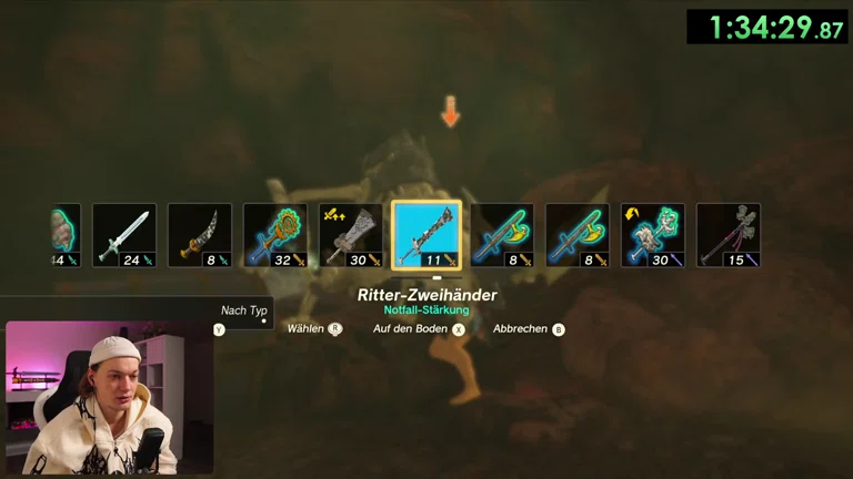 schneiles Lebensgeschichte