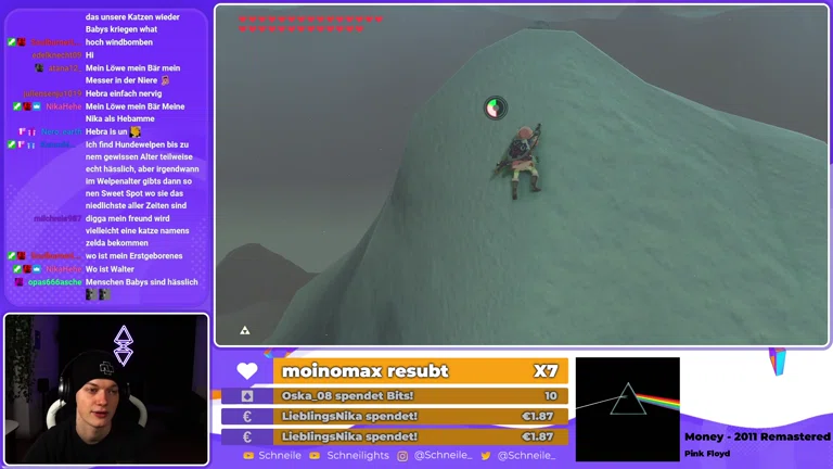 Highlight: BotW mit PISTOLE spielen (???)