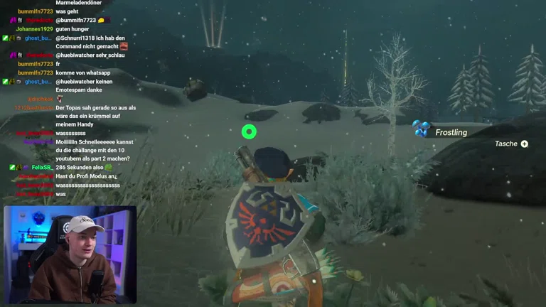 TotK mit Schusswaffen durchspielen 💀